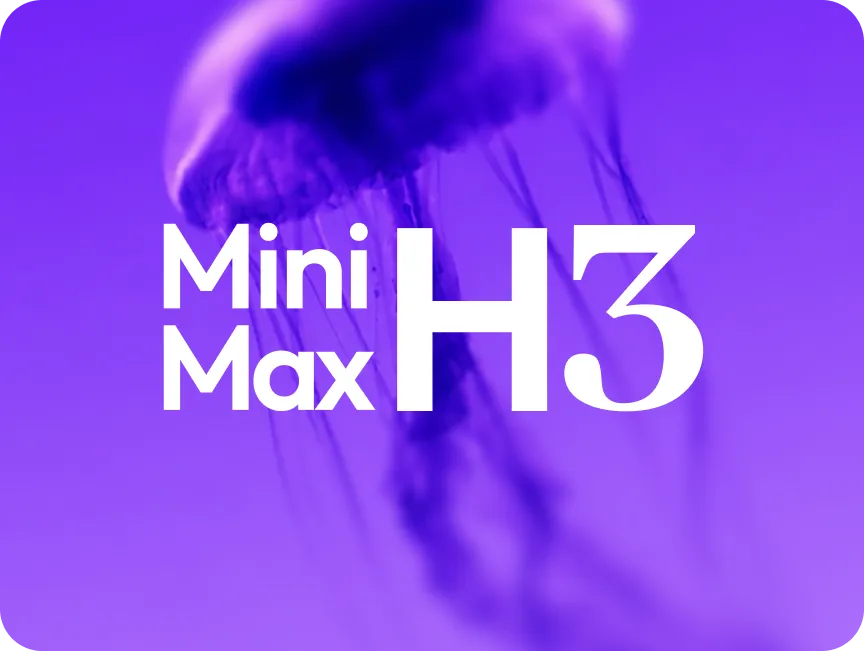 MiniMax MiniMax H3